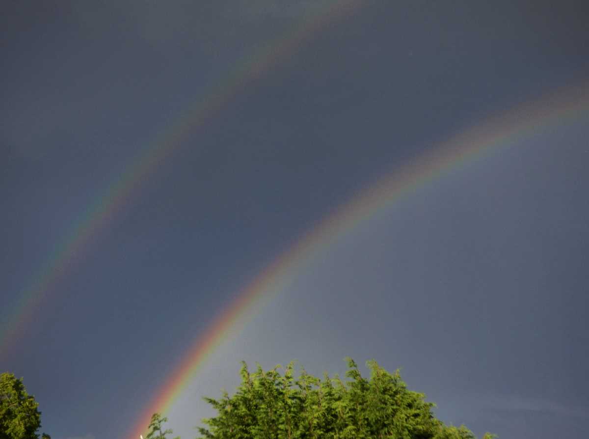 Rainbows over the years - 13th June 2020